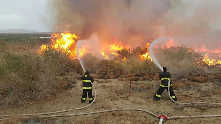 כיבוי שריפה בשדה קוצים סמוך ליישוב נאות הכיכר