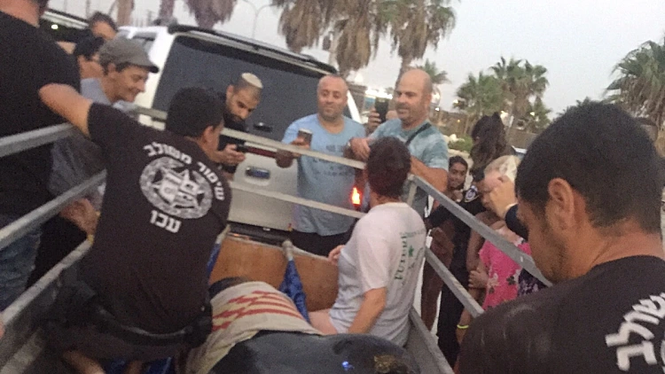 דולפין פצוע שנסחף לחוף ימה של עכו