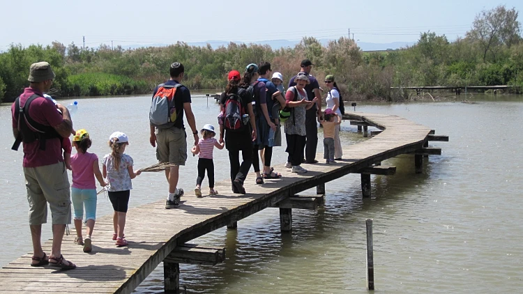 מטיילים בעין אפק בחול המועד פסח