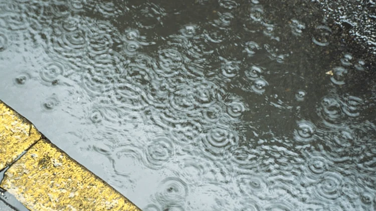 התחזית: גשם מקומי בדרום ובמרכז; חשש לשיטפונות בנחלים