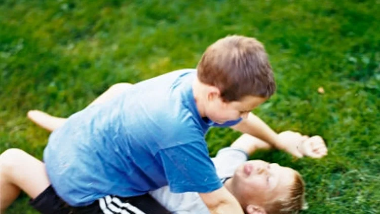 ילדים רבים על הדשא