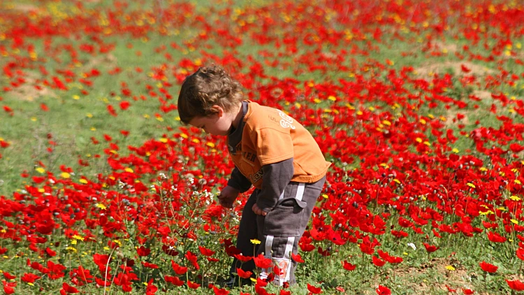 במסגרת פסטיבל "דרום אדום"