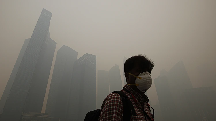 זיהום כבד בסינגפור