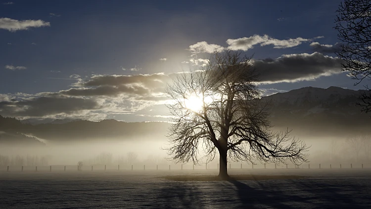 נוף בגרמניה