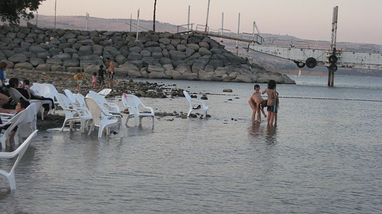 כנרת - אילוסטרציה