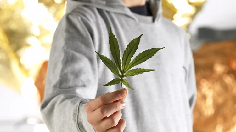 ילדים וסמים