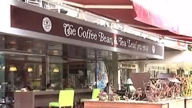 רשת המסעדות קופי בין