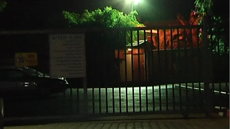 המוסד "אילנית"