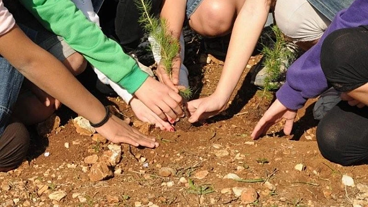 ט"ו בשבט: צובעים את הארץ בירוק - כ-17,000 חניכי בני עקיבא מ-350 סניפי התנועה ברחבי הארץ יצאו היום למסעות ט"ו בשבט ב-5 יעדים ברחבי הארץ