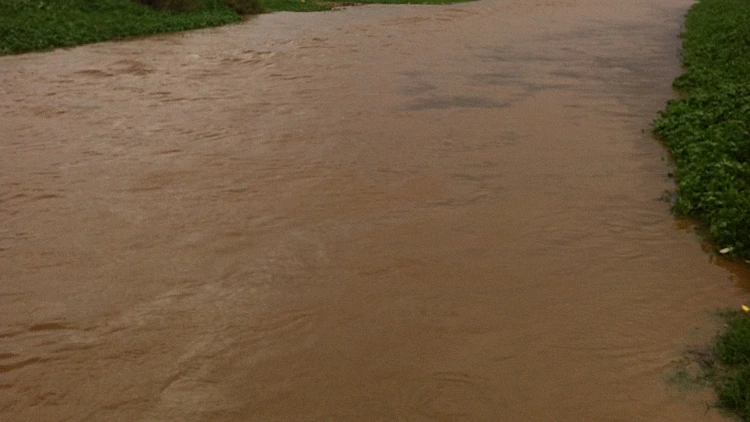 נחל חילזון עולה על גדותיו