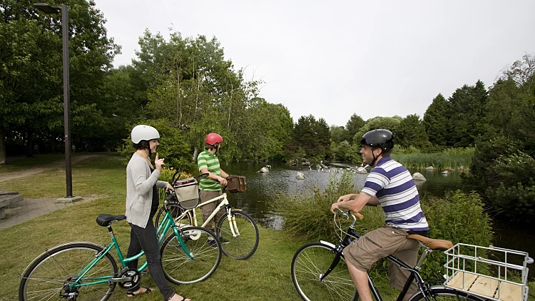 טיול אופניים בפארק הירקון
