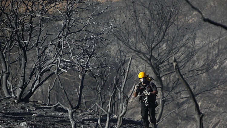 השריפה בכרמל - כבאי