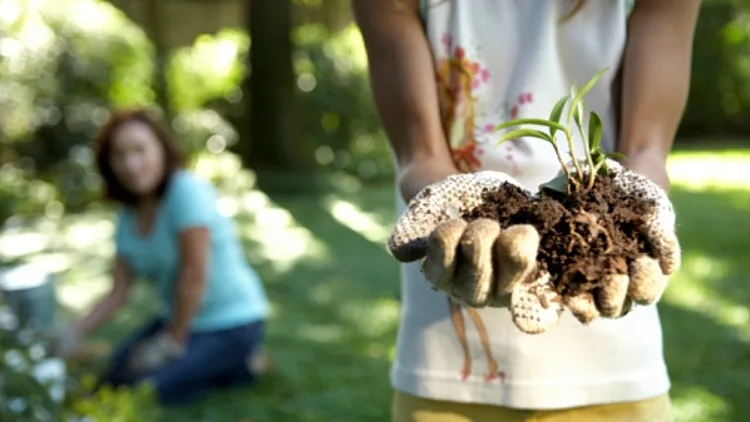 עובדים בחקלאות