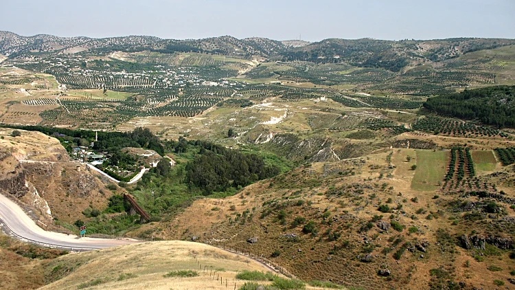 רמת הגולן