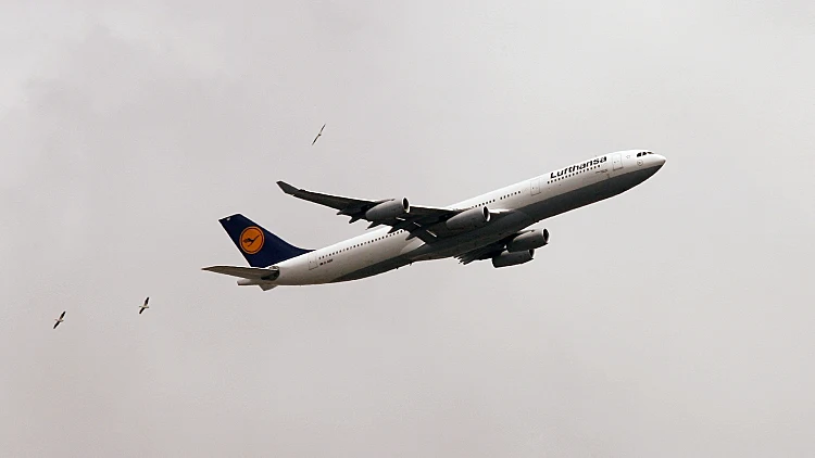 אזהרת הטיסה הוסרה, חברות התעופה הזרות חוזרות לנתב"ג