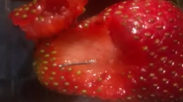 תותים שלתוכם הוחדרו מחטים ומסכנים את תושבי אוסטרליה