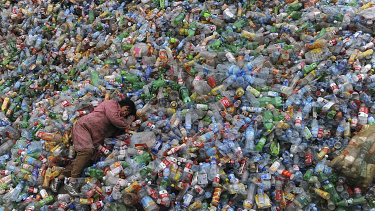 כוס חד פעמית במיליארד שקל? העובדות שידהימו אתכם | רשת 13