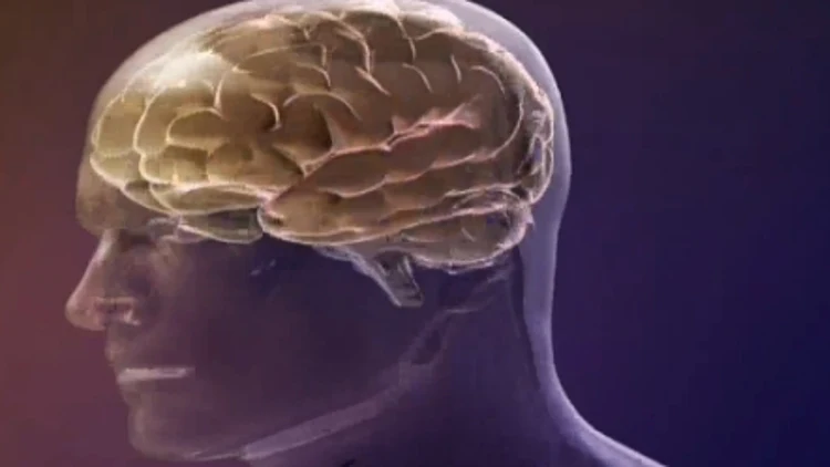 מתוך כתבה על זריקה שעיכבה התפתחות אלצהיימר