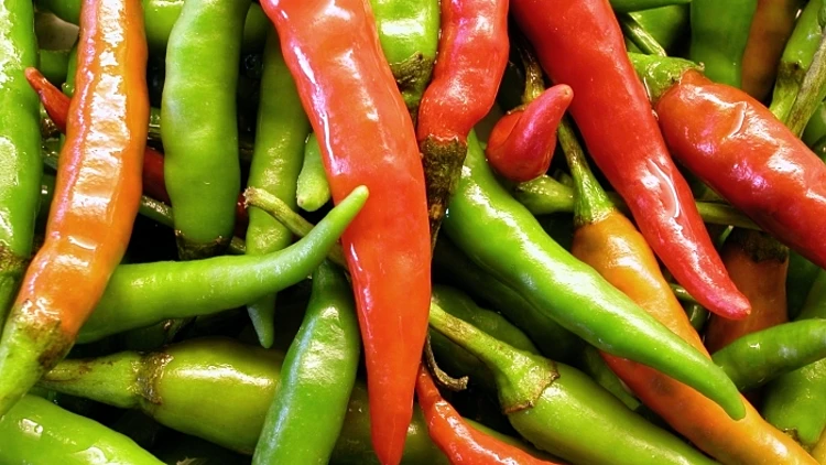 פלפלים חריפים