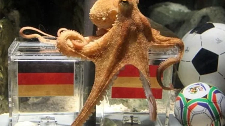 חדשות טובות: נבחרת ישראל תעפיל למונדיאל הבא