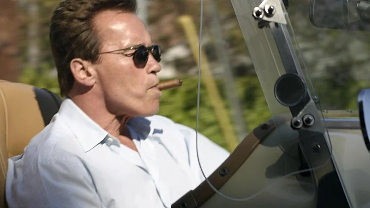 ארנולד שוורצנגר