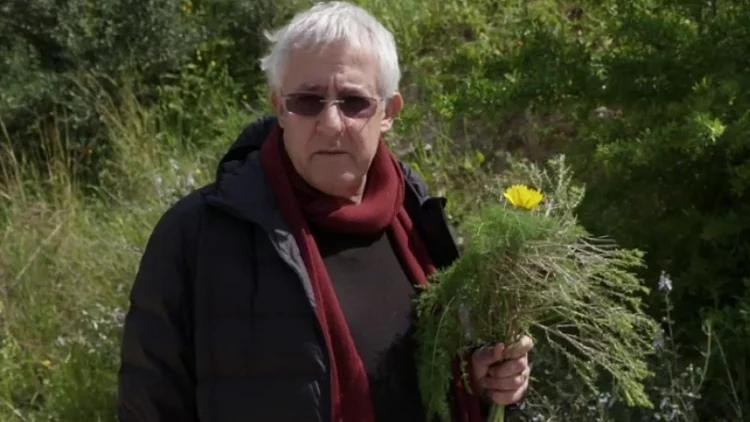 גידי גוב מתוך המסע המופלא