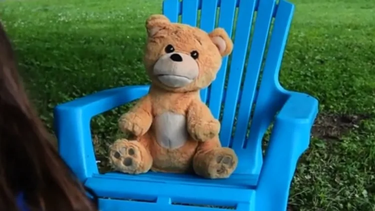 דובי מדבר קיקסטארט TALKING TEDDY BEAR