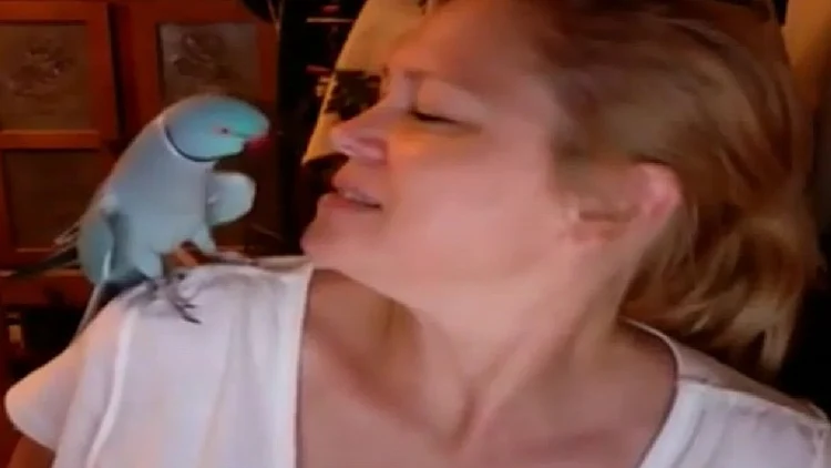 רגע של נחת 22.5.14