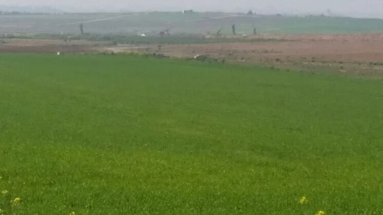 חיפושים אחר מנהרות באיזור עוטף עזה