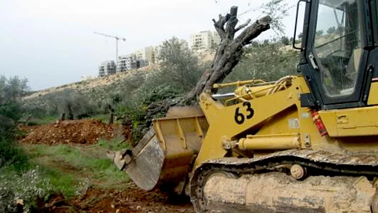 פירוק גדר ההפרדה ליד בילעין