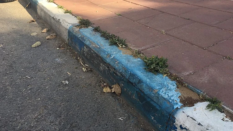 חנייה כחול-לבן