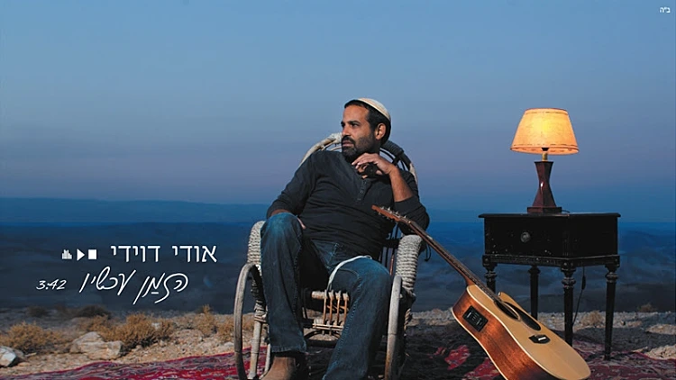 אודי דוידי