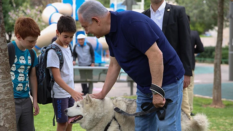 ראש הממשלה נתניהו מטייל עם הכלבה קאיה