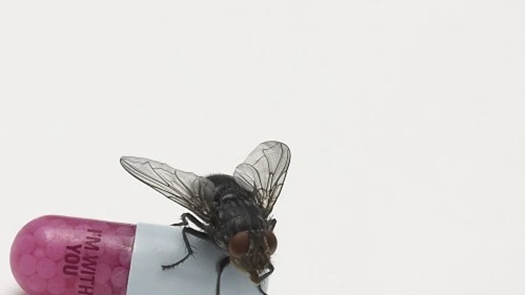 רד הוט צ'ילי פפרז - עטיפת האלבום החדש