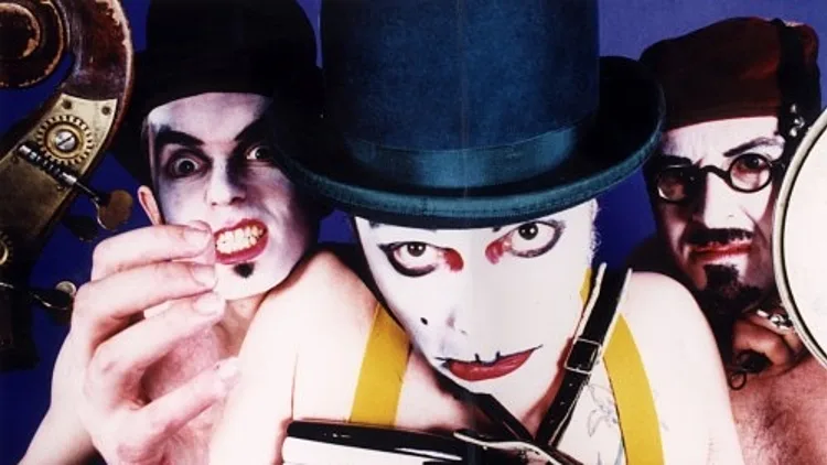 הטייגר ליליז