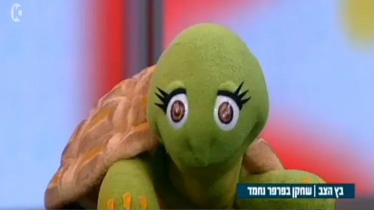 פרפר נחמד