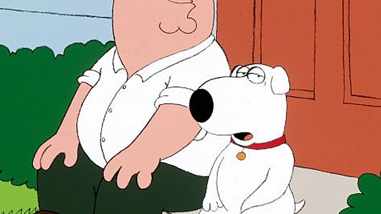 איש משפחה, סדרה מצויירת