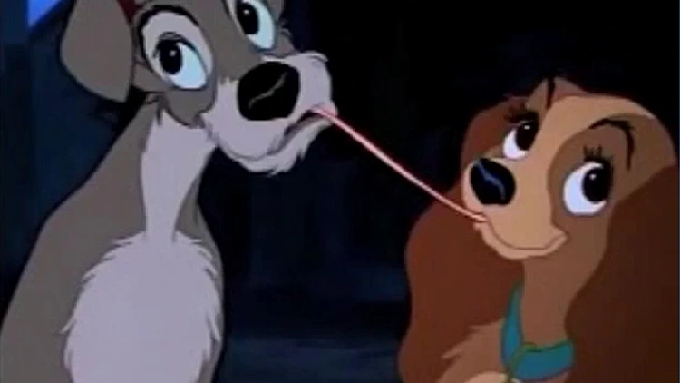 היפהפיה והיחפן