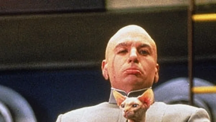 חתול ב"אוסטין פאוורס"