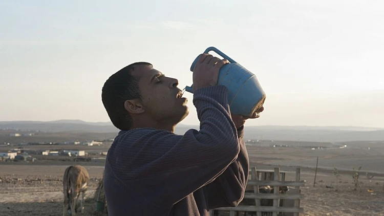 הסרט "שרקייה" של עמי ליבנה