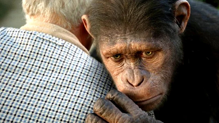 כוכב הקופים: המרד