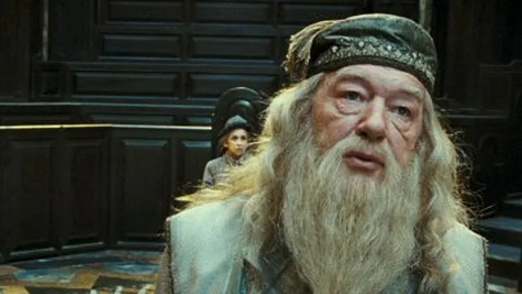 הארי פוטר ומסדר עוף החול