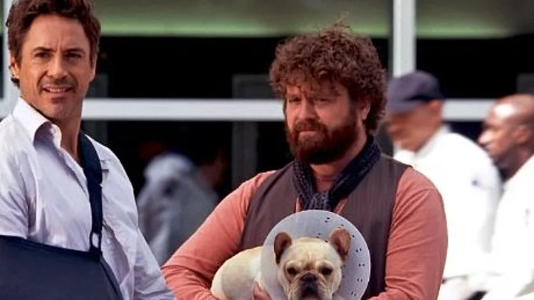 זאק גליפינקאיס ורוברט דאוני ג'וניור ב"Due Date"