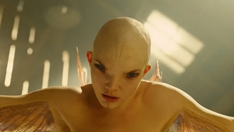 "רציתי ללכת עד הסוף"