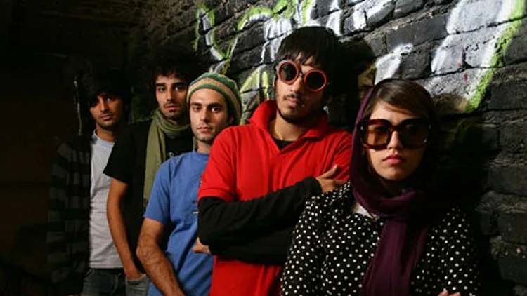 אף אחד לא שמע על חתולים פרסיים