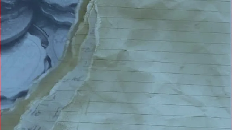 עטיפת הספר מטבעות הזיכרון מאת שירלי אברמי