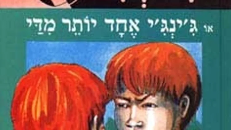הספר "ג'ינג'י"
