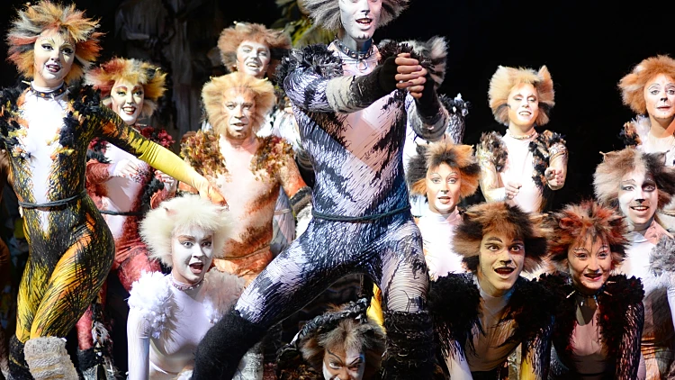 המחזמר קאטס