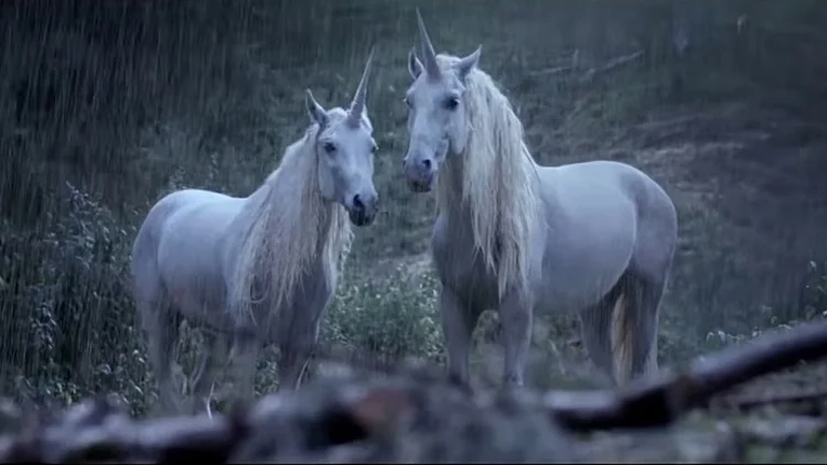 צילום מסך מתוך פרסומת