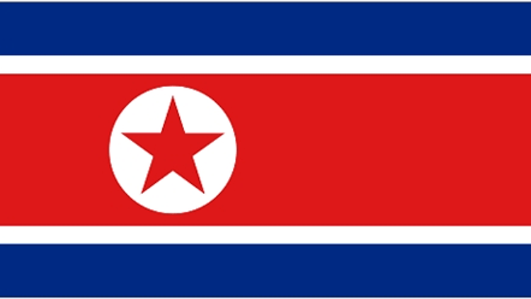 דגל צפון קוריאה מונדיאל 2010